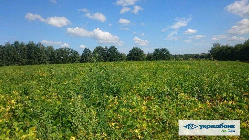 продажа участок под жилую застройку Васильковский, Зозули, 805000 грн.  - зображення 5