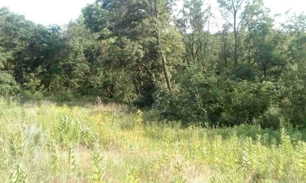 Продаю ділянку в затишному місці з приємним краєвидом та лісом поруч Обухів - зображення 2