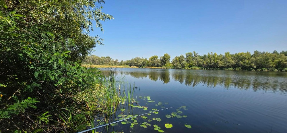 Продам 2,12 га землі в лісі, Царичанський район. Дніпро - зображення 6