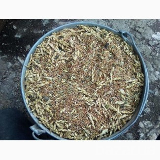 Закупка зерноотходов! Работаем с посредниками. Черкаси - зображення 1