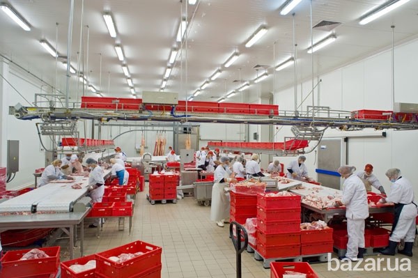 Линия обвалки КРС и свиней. Цех обвалки Львів - зображення 1