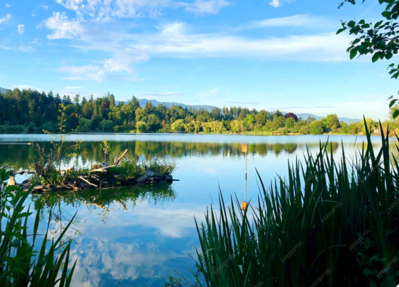 Продаж земельної ділянки 7.7 га з прямим виходом до води. Обухів