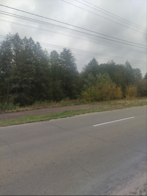 Зазим'я. Продам 11сот по вул. Деснянська, асфальт, забудовані сусіди Бровари - зображення 5