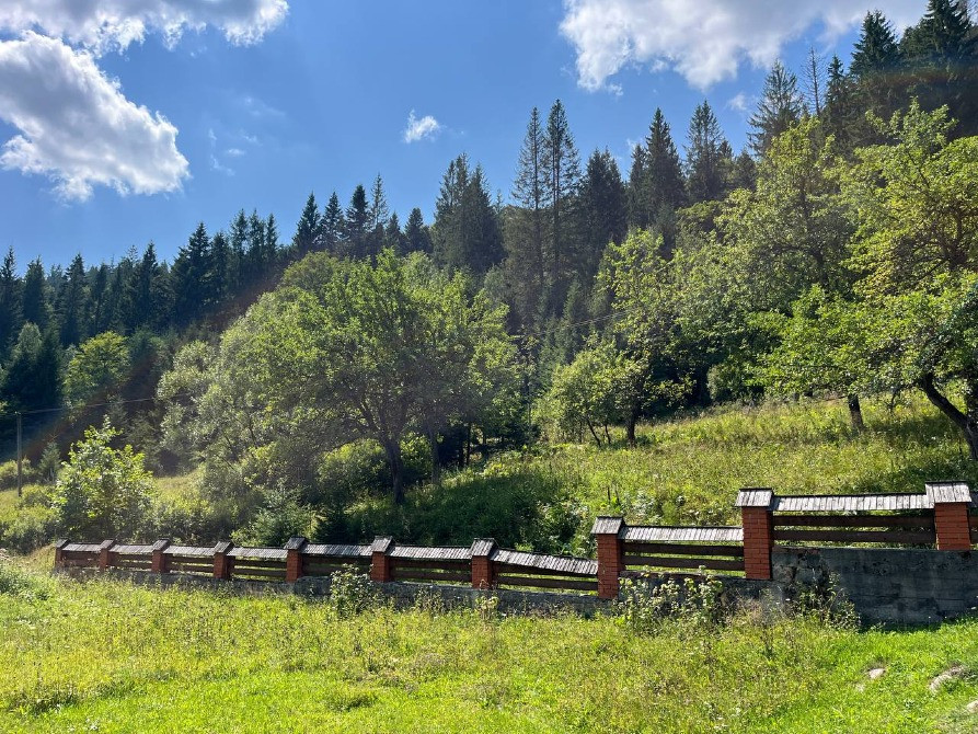 Земельна ділянка в Татарові біля водоспаду Гук 0.25 га Яремче - зображення 11