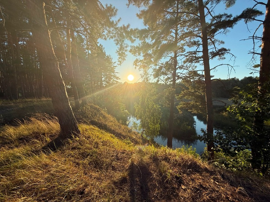 Ділянка під будівництво 34 сотки з лісом Вишгород - зображення 11