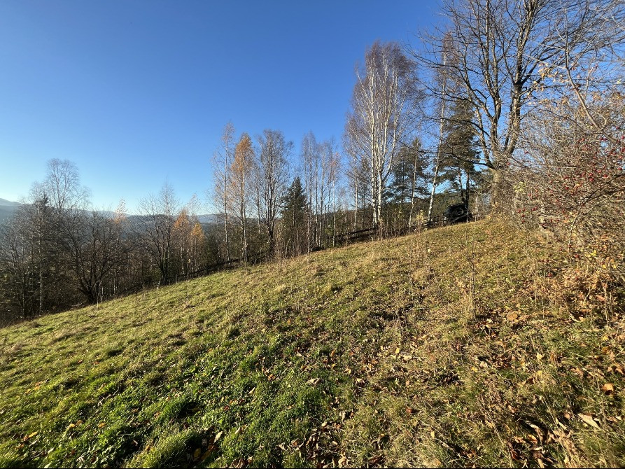 Земельна ділянка в Микуличині 0.26 га Яремче - зображення 5