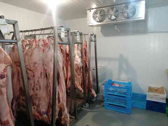 Морозильна камера - Щокова заморозка ковбас, м'яса, сирів ( Під ключ) Киев