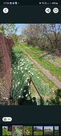 Продам дачну ділянку в с. Дачне Одеської області. 9 соток. Одесса