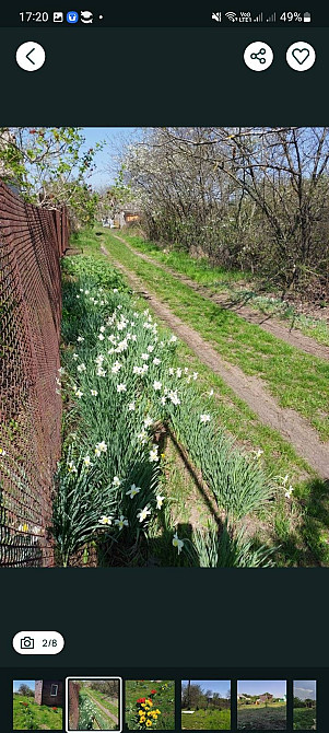 Продам дачну ділянку в с. Дачне Одеської області. 9 соток. Одеса - зображення 2