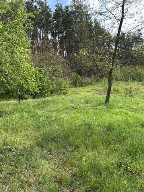 продажа участок под жилую застройку Васильковский, Васильков, 15000 $ Васильков - изображение 9