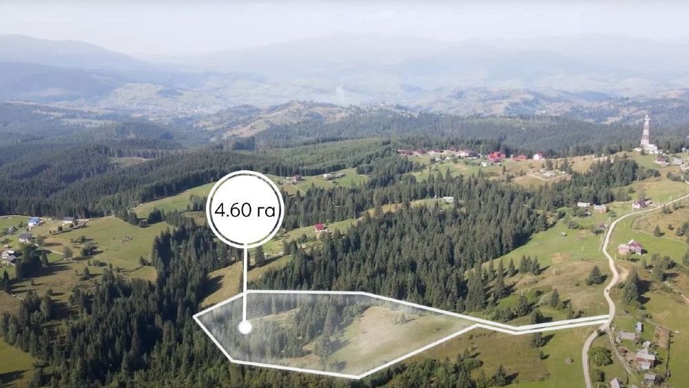 Земельна ділянка 4.63 га. в Яблуниці Яремче - зображення 1