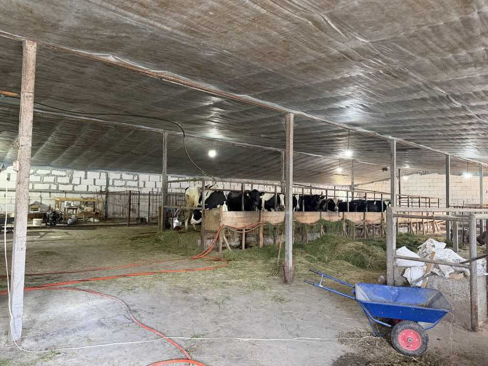 продажа участок под жилую застройку Киево-Святошинский, Гореничи, 250000 $  - зображення 5