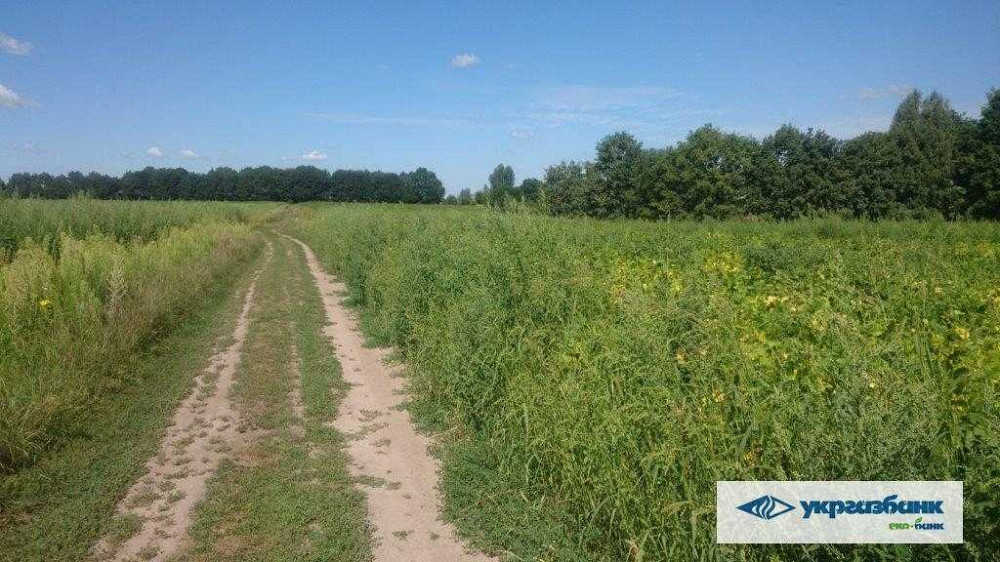 продажа участок под жилую застройку Васильковский, Зозули, 805000 грн.  - зображення 8