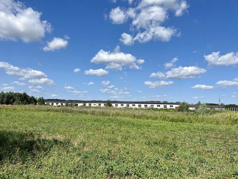 продажа земля сельскохозяйственного назначения Киево-Святошинский, Белогородка, 800000 $  - изображение 11