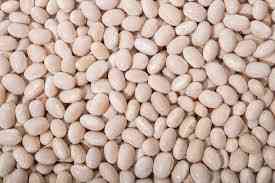 Продати квасолю. Куплю квасолю. Приймаємо квасолю на переробку Черкассы