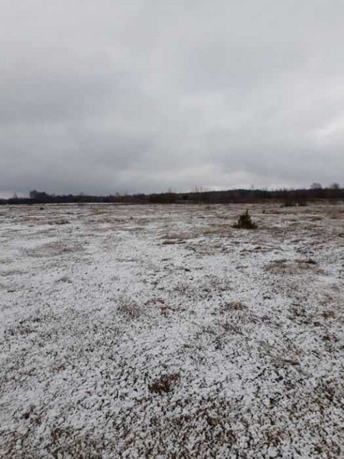 продаж ділянка під житлову забудову Ковельський, Ковель, 90000 грн. Ковель - изображение 3