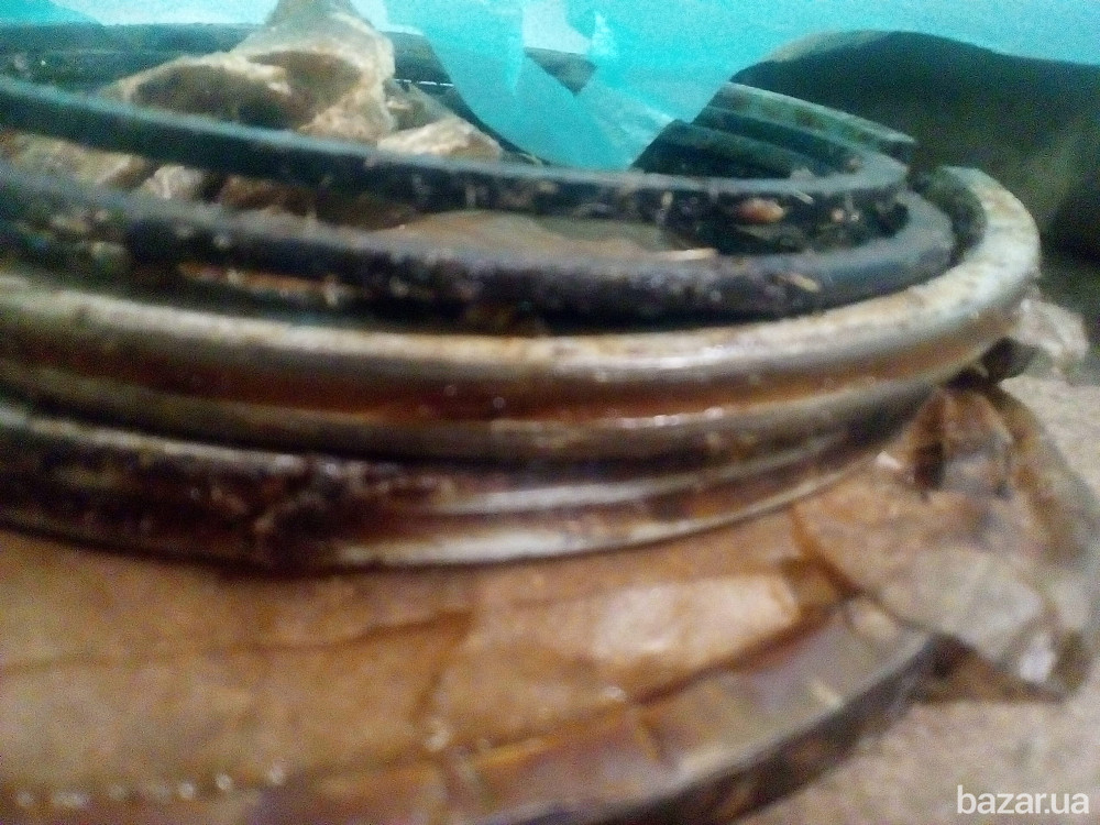 Поршневые кольца компрессора ВУ-6/4 Полтава - зображення 1