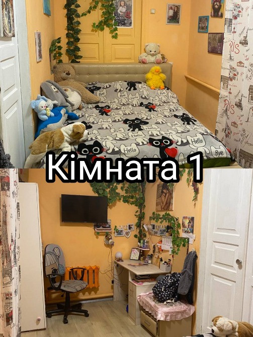 Продаж будинку Требухів Бровари - зображення 6