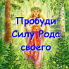 Пробуждаю Силу Рода, родовую память и связь с Родом. Дистанционно, в любой точке мира! Київ