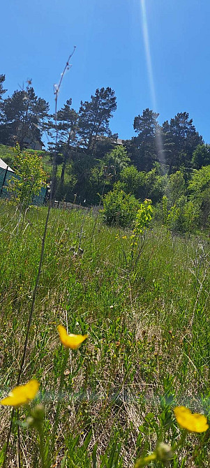 с. С.Безрадичі (Романков, Дмитровичі, Підгірці) 25сот під забудову, Обухов - изображение 2