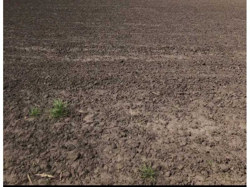 продажа земля сельскохозяйственного назначения Петровский, Зеленое, 67685 грн.  - зображення 1