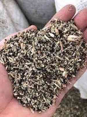 Купуємо зерновідходи, некондиційне зерно Днепр