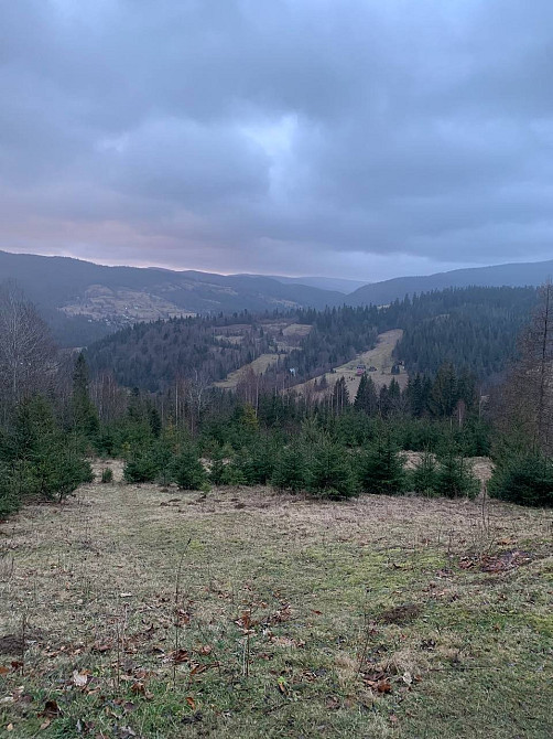 Земельна ділянка 0.35 га в Микуличині Яремче - зображення 3