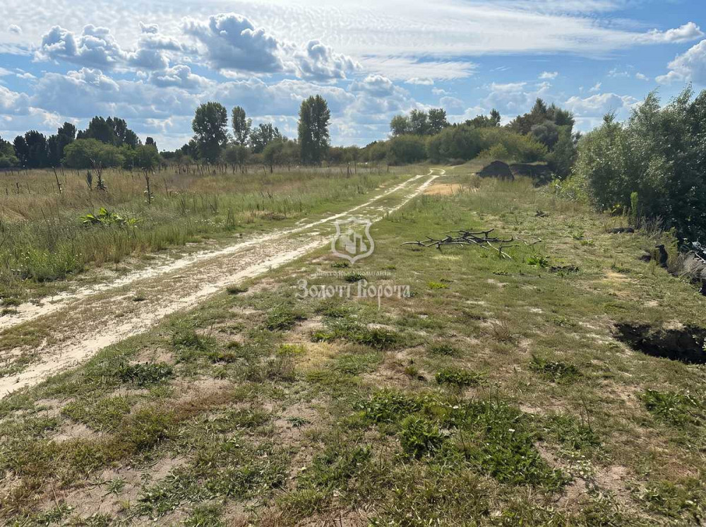 продажа участок под жилую застройку Броварский, Леточки, 56000 $  - изображение 4