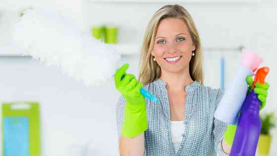 Домробітниця, Гореничі, 1 день на тиждень. Київ