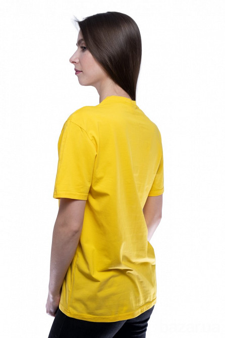 Витяжка вбудована Gorenje TH-60E3-X Київ - зображення 2