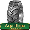 15.5/80 R24 Mitas TR-01 154/142A8 Індустріальна шина Київ