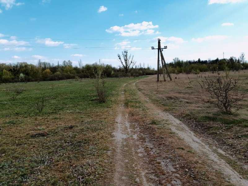 продажа земля коммерческого назначения Белоцерковский, Трушки, 210000 $  - изображение 4