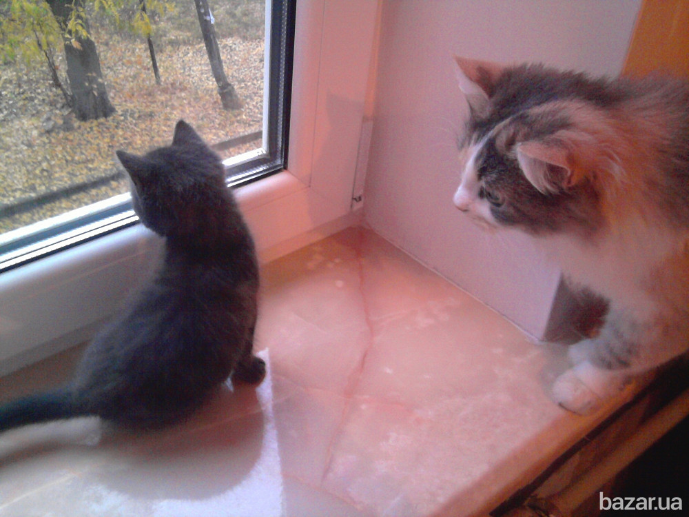 Ремонт окон Киев, регулировка дверей, Петли с94, ремонт ролет в Киеве Киев - изображение 1