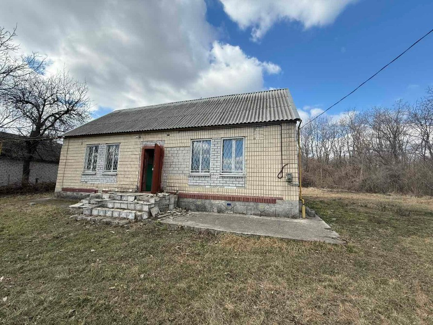 Пропоную зняти будинок в селі Мішурін Ріг. Верхньодніпровськ - зображення 2