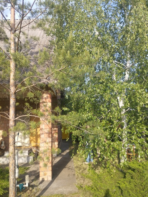 Продам дачу в Партизанском Дніпро - зображення 2