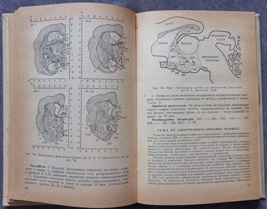 Большой практикум по физиологии человека и животных Харьков - изображение 3