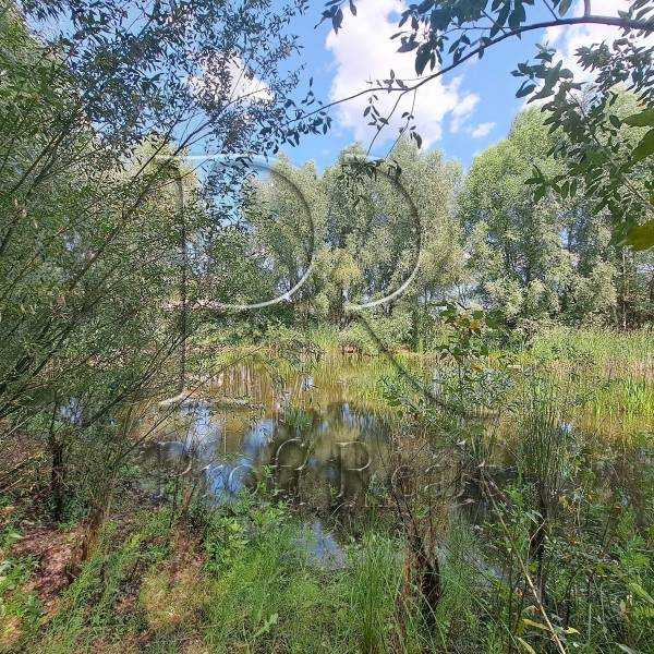 продажа участок под жилую застройку Макаровский, Колонщина, 15000 $  - зображення 2