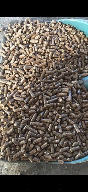 Корм для дойных коров пивная дробина Шепетівка - зображення 1