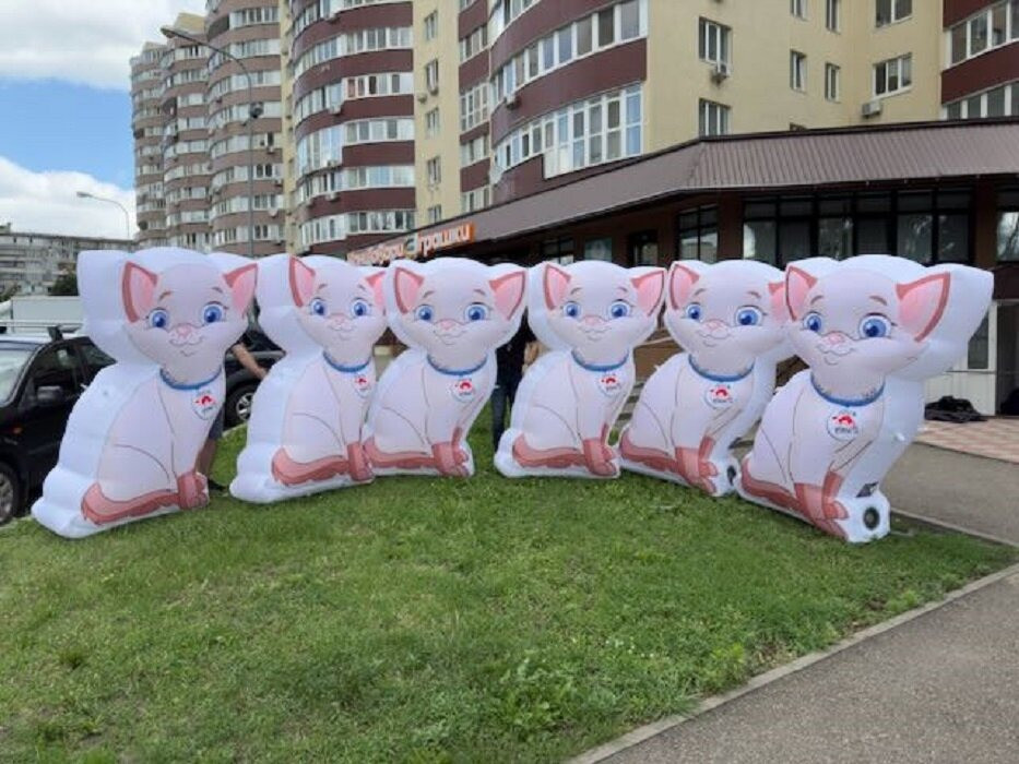 Надувная реклама Продвижение бизнеса Київ - зображення 11