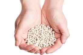 Насіння квасолі. Форвардні контракти. Гарантований викуп врожаю. Луцьк