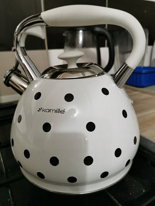 Чайник Kamille из нержавеющей стали со свистком 3 л (KM 0695AN) Одесса - изображение 6