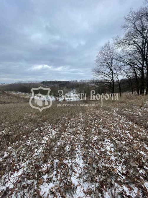 продажа участок под жилую застройку Обуховский, Деревянная, 205000 $  - изображение 5