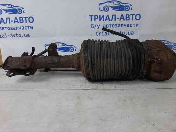 Амортизатор задний Lexus RX 350 XU30 3.5 БЕНЗИН 2GRFE 2003 прав. (б/у) Київ