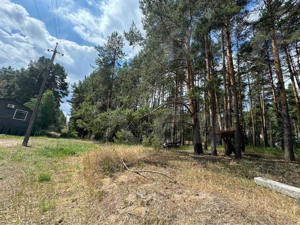 продажа участок под жилую застройку Бориспольский, Процев, 88000 $  - зображення 10