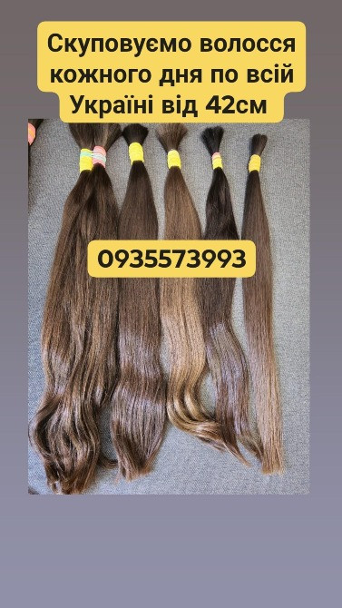 Скуповуємо волосся в Києві та по всій Україні від 42см -0935573993 Киев - изображение 1