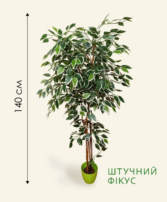 Штучні дерева, для інтер'єру. Фікус Бенджаміна. Гліцинія. Николаев - изображение 4
