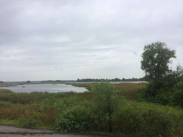 продажа участок под жилую застройку Бориспольский, Процев, 58000 $  - зображення 2