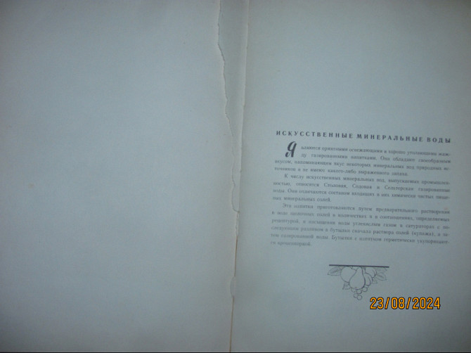 Огромные беспомощные птицы, дорога к дому Россия до сих пор Донецьк - зображення 3