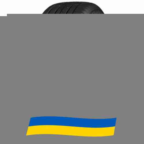 255/45 R20 Petlas Explero PT431 H/T 105Y Позашляхова шина Київ