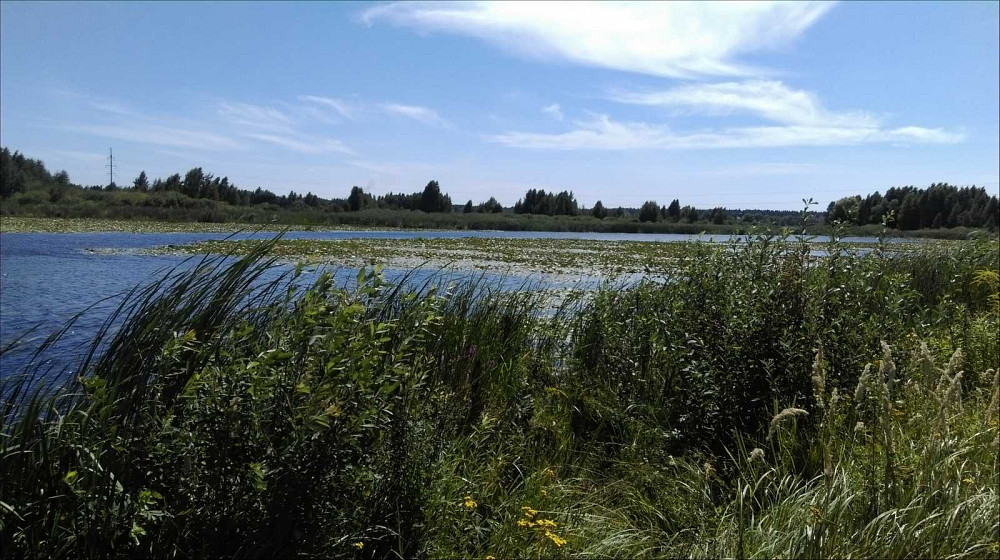 продажа участок под жилую застройку Обуховский, Козин, 128800 $  - изображение 2